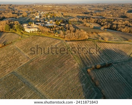 Aerial view of Bordeaux vineyard in winter at sunrise, Rions, Gironde, France