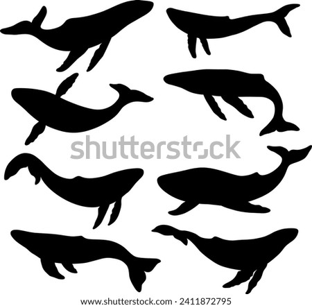  Set of silhouettes of whales isolated on a white background.