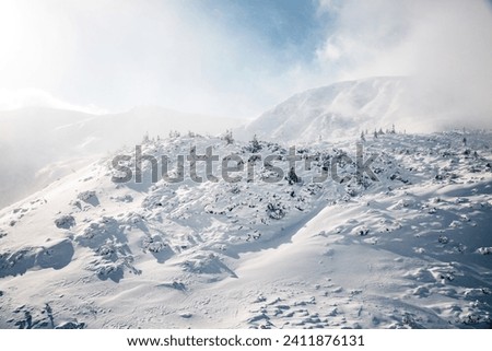 Extreme slopes in the highlands in frosty weather. Location Carpathian national park, Chornohora mountain range, Shpytsi rocks, Ukraine, Europe. Unusual photo wallpapers. Discover the beauty of earth.