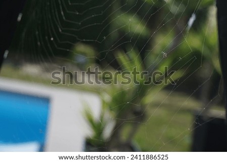spider web, made outside, close up picture