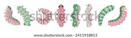 Set spring and summer colorful caterpillars. Pretty caterpillars different silhouette on white background. For festive card, banner, children, pattern, tattoo, decorative, concept. Vector illustration