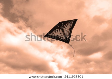 Heaven and object, flying paper dragon, in the background of sky with clouds, dragon with picture of butterfly, flying beautiful kite, autumn motif, color photo