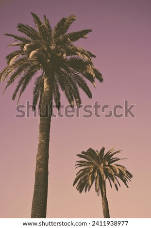 Palm Tree 2 palm tree retro look 
