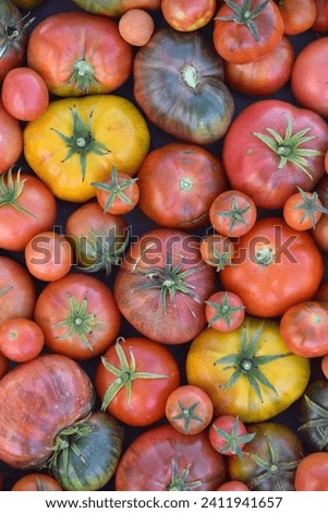 organic heirloom, tomatoes, as background Royalty-Free Stock Photo #2411941657