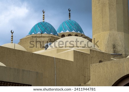 A photo looking up at the Domes over the Ash-Shaliheen Mosque