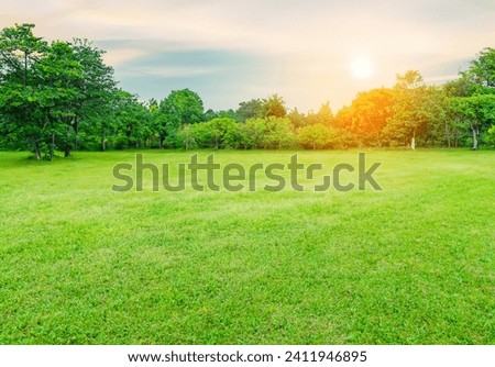 Landscape green lawn on the morning with Blue sky on the background. smooth lawn with curve form of bush, trees on the background under morning sunlight Royalty-Free Stock Photo #2411946895