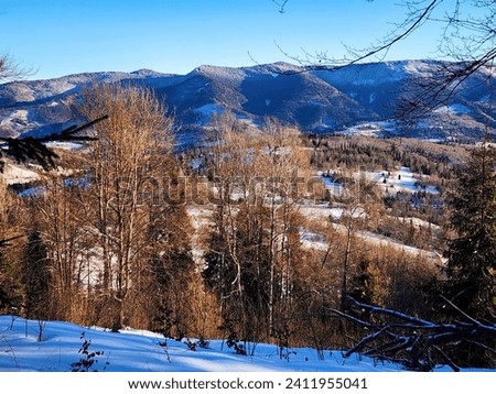 Winter mountain landscape with snow-capped peaks and trees on a clear cloudless sunny day. Christmas and New Year. Blue sky and frosty air.