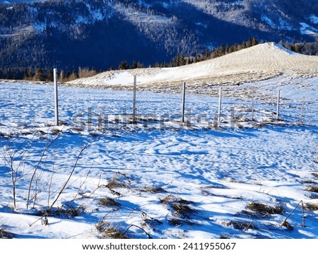 Winter mountain landscape with snow-capped peaks and trees on a clear cloudless sunny day. Christmas and New Year. Blue sky and frosty air.
