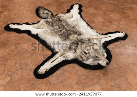 An old wolf pelt lay on tiled floor  Royalty-Free Stock Photo #2411959077
