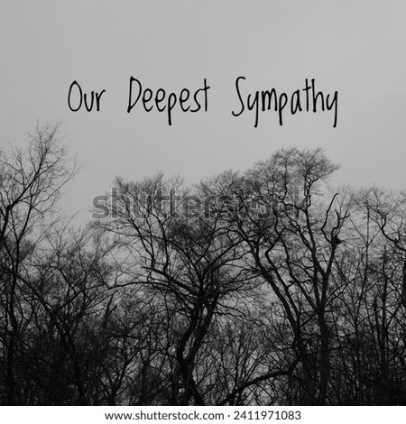 Our Deepest Sympathy card. Silhouette photo of black and white bare branches on trees with text