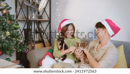 happy young Asian couple in love playing petting holding little chihuahua dog with smile and laugh celebrating festive season at home, New Year and Christmas concept