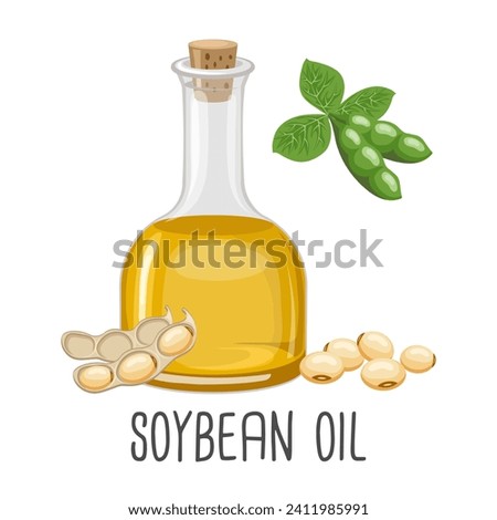 Soybean oil, seeds, pods and soybean plant. Soybean seed oil in a bottle. Food. Illustration, vector