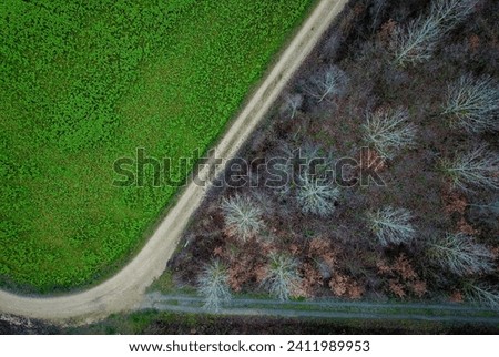 A path between a forest and a field in winter, seen from above