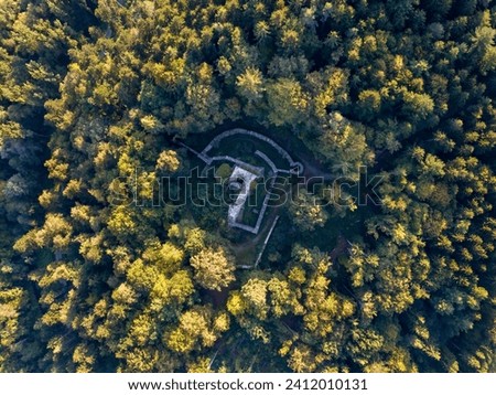 Castle ruins in the middle of the forest seen from above