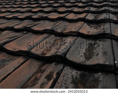 In this captivating abstract photograph, the focal point is a series of roof tiles, skillfully captured to evoke a unique perspective.