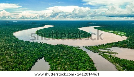 Aerial view of the Amazon River winding through the lush rainforest in Leticia, Amazonas, Colombia