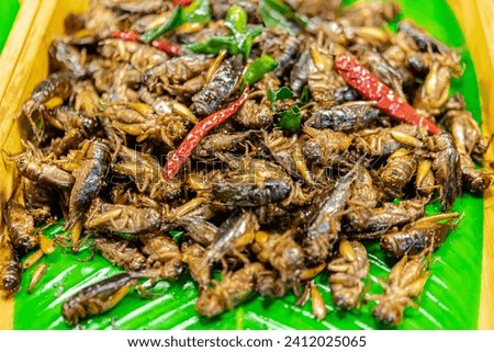 Deep Fried Insects, one of the most popular Thai street food in Thailand