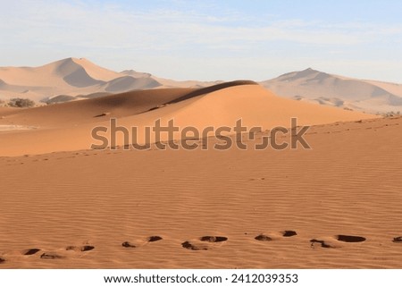 footsteps on Namib desert, Namibia Royalty-Free Stock Photo #2412039353