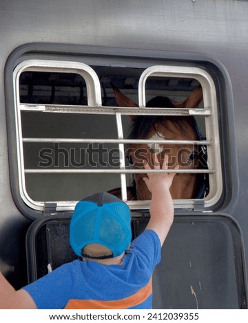 a young boy wearing a blue baseball cap pets the face of a chestnut brown horse looking out the window of a horse trailer on the side of the road Royalty-Free Stock Photo #2412039355