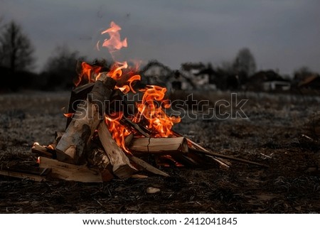 A picture of a fire burning in wood in winter, with loud, beautiful colors and a cloudy atmosphere