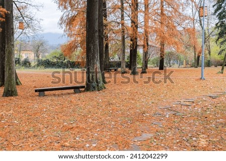 Empty park bench amidst fallen autumn leaves.