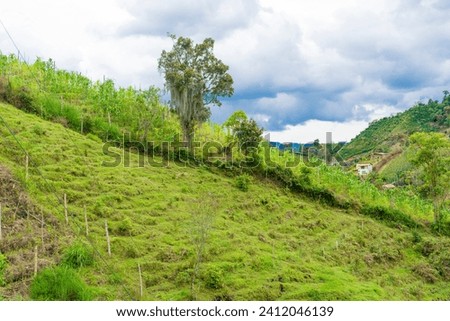 Colombian landscapes. Green mountains in Colombia, Latin America 