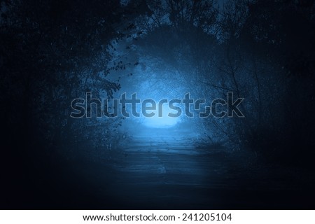 mysterious gate at the end of forest road in moonlight Royalty-Free Stock Photo #241205104