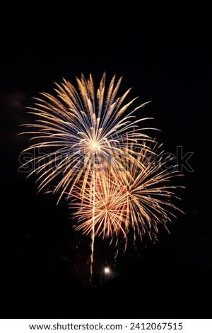 I love taking pictures of fireworks, They are always different!