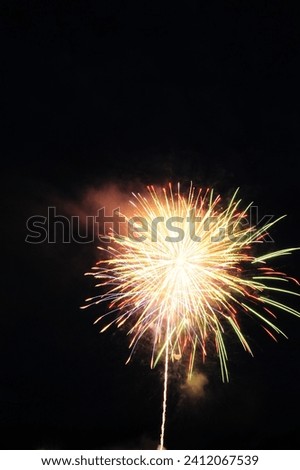 I love taking pictures of fireworks, They are always different!
