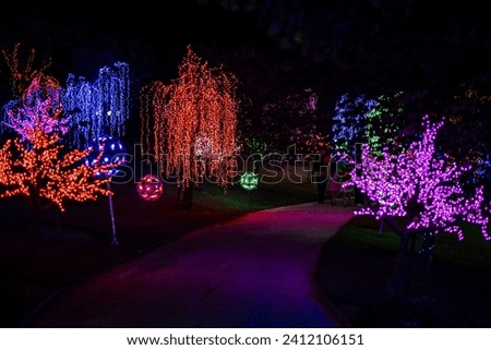 large Christmas light display in a public garden