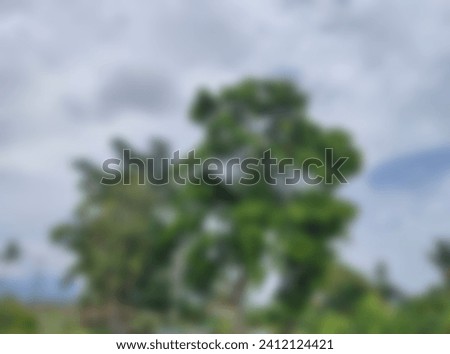 Take blurry photos with a tree theme