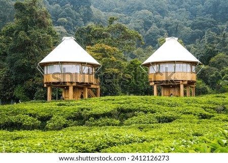 Glamping The Ciliwung Adventure Camp Puncak Bogor, a house in the middle of a beautiful tea garden