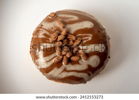 a delicious chocolate donut on a plate and a white background