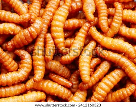background of fried worm texture