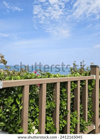 The blue sky, the beach, and the flower bed Royalty-Free Stock Photo #2412165045