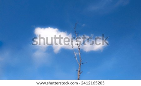 a cloud in the blue sky