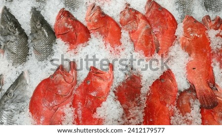 Fresh sea fish preserved using ice cubes sold in fish shops, in the photo from above