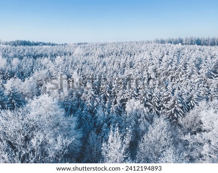 Aerial view of a frozen winter wonderland forest in southern Bavaria, Germany	