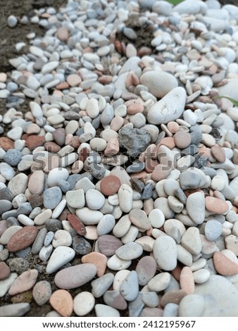 Five colored coral stones are very good for garden decoration