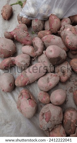 Potatoes the best picture in the world fresh food 