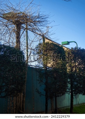 Fence at the tennis club. High fence. Trees against the wall. Close from prying eyes