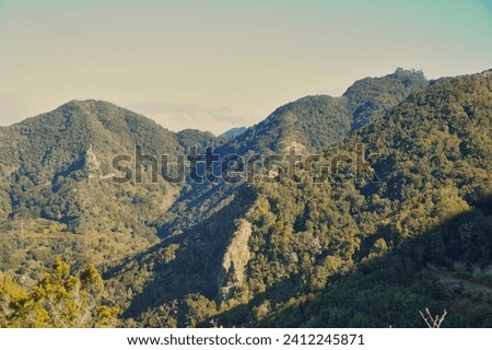 
Anaga forests. Tenerife. Canary Islands, Spain. At the north of Tenerife island is located the Anaga mountain range. An ancient massif, covered in lush forests Royalty-Free Stock Photo #2412245871