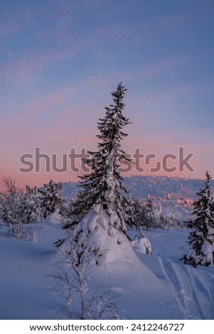 Frosty evening, Khibiny Mountains, Polar dawn, Murmansk region, Far North, Russia, Arctic