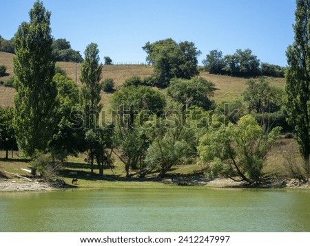 Maroño reservoir in Alava during a sunny day with a very full flow and surrounded by trees, mountains and vegetation during a sunny day.