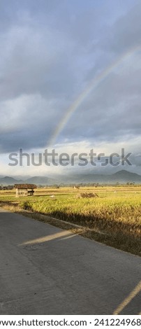 a picture of a rainbow, in the middle of dry rice fields