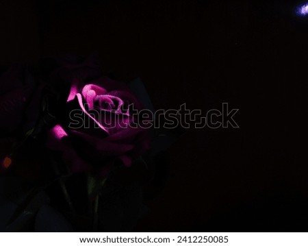 Picture of artificial rose flower 