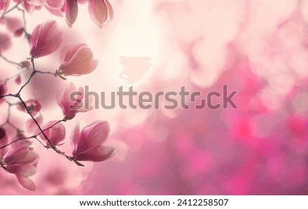 Spring season background. Fresh pink flower and bokeh light glitter
