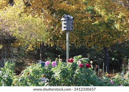 A beautiful dahlia garden with a large birdhouse in the center of it.