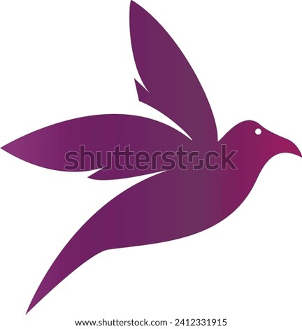 Flying Beautiful Dove colourful bird