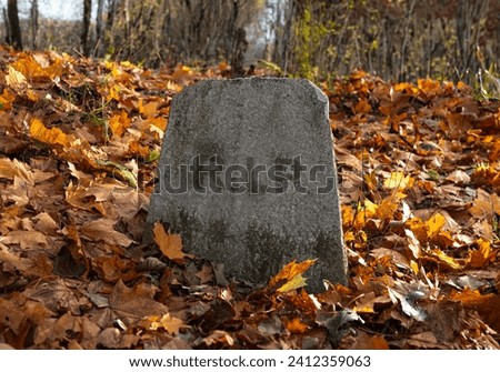 RIP, Rest in Peace text on gravestone, burial stone at old graveyard in autumn